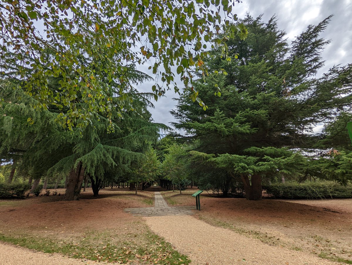 DrAudreyT's tweet photo. Went to the tree cathedral in #miltonkeynes for the first time - absolutely beautiful, so peaceful and a very cleverly created place (footprint of Norwich cathedral with different trees for all the areas) @scenesfromMK @LoveMKcouk #treecathedral https://t.co/YKcCgmasO7
