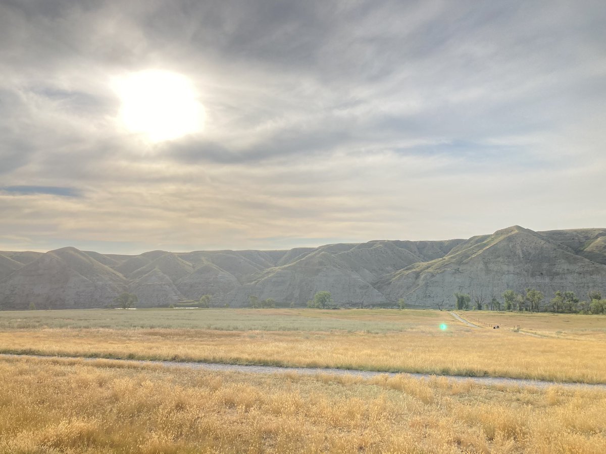 kulwap's tweet photo. Run to Popson park and back. #trainingforultra #lethbridge #alberta https://t.co/OmU3oKOyY2
