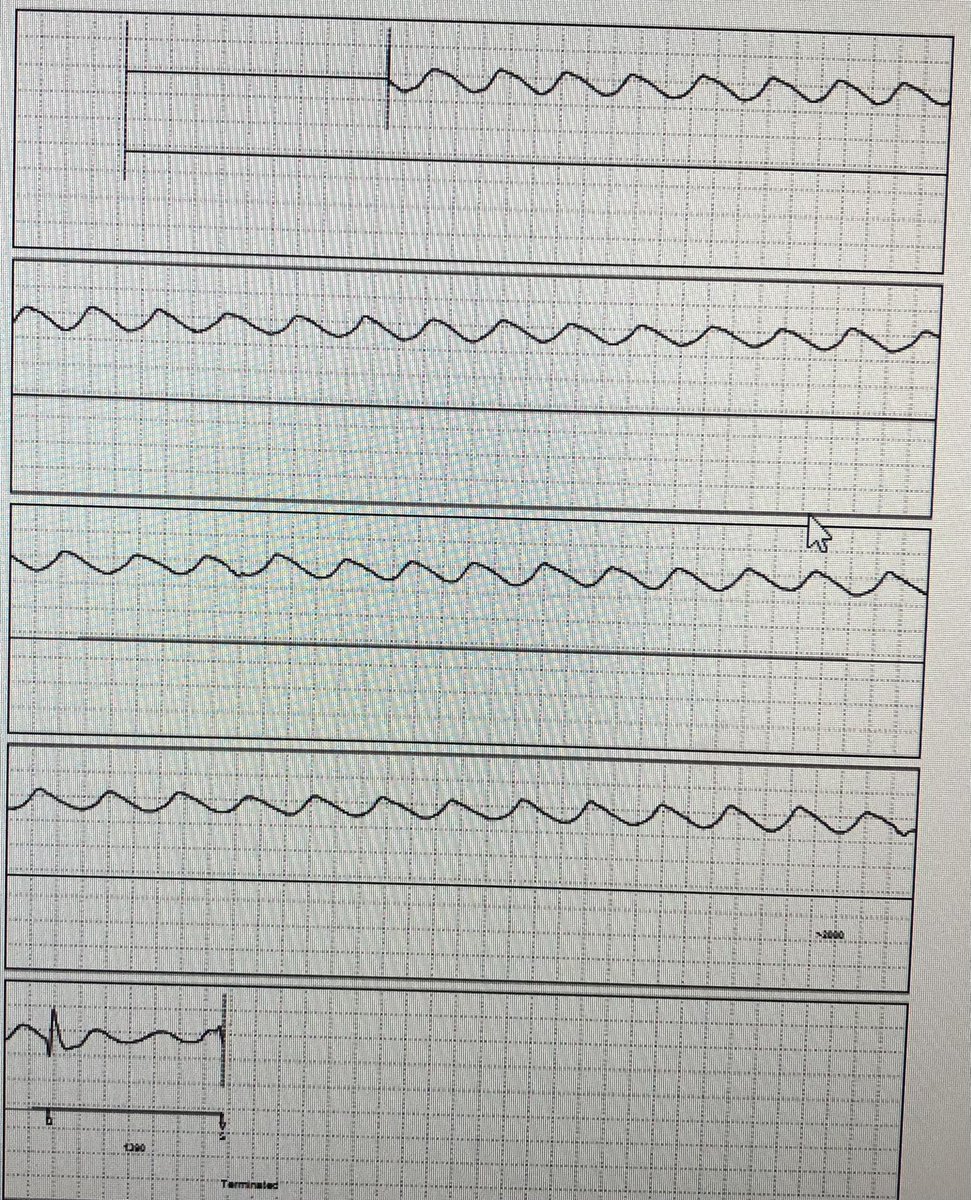 Prash Sanders tweet media