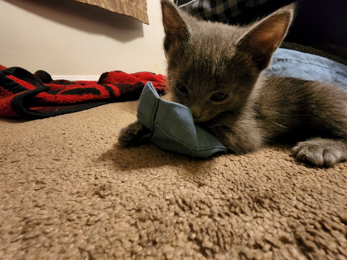 Swap_Shoppe's tweet image. Y&apos;all I can&apos;t with these 2