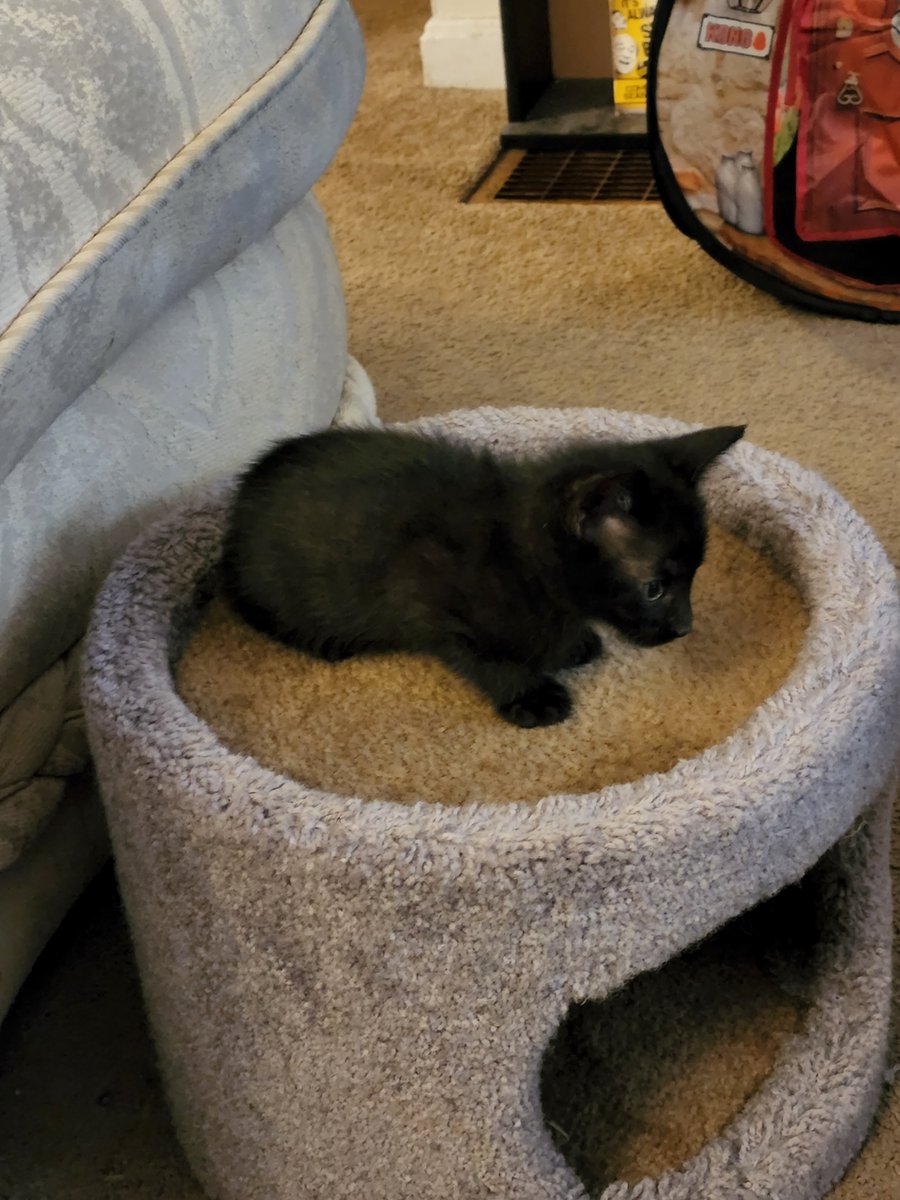 Swap_Shoppe's tweet image. Y&apos;all I can&apos;t with these 2