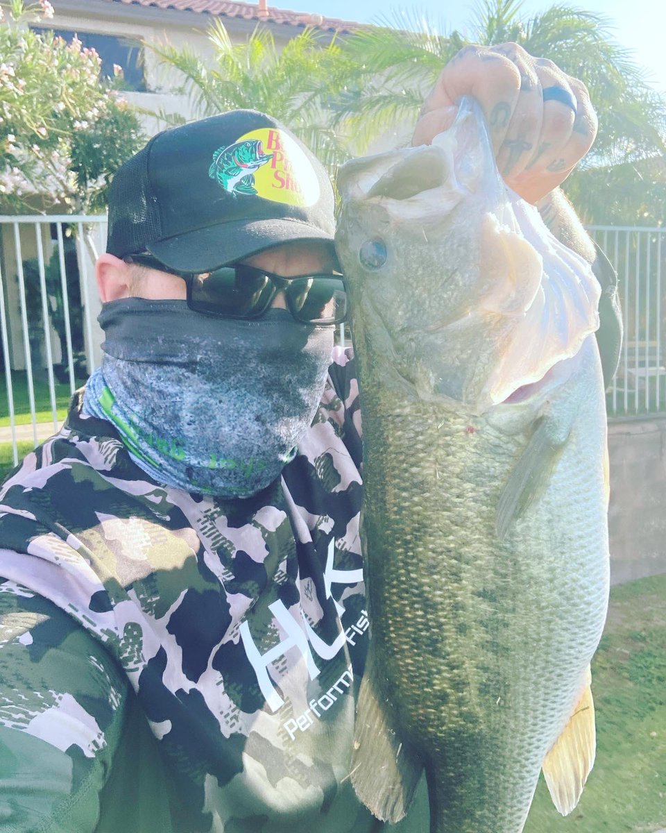 DropShotGang's tweet photo. Summer’s been pretty decent… #bassfishing #dropshotgang #findusonthewater https://t.co/DRJdcXWkju