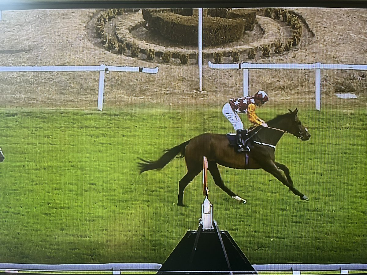 It’s that filly again! Lincoln pride wins her 3rd race of the season @GTYarmouthRaces. Well done @omeararacing for bringing this big filly along nicely. Good confident ride from Jason Watson. Hopefully more to come.