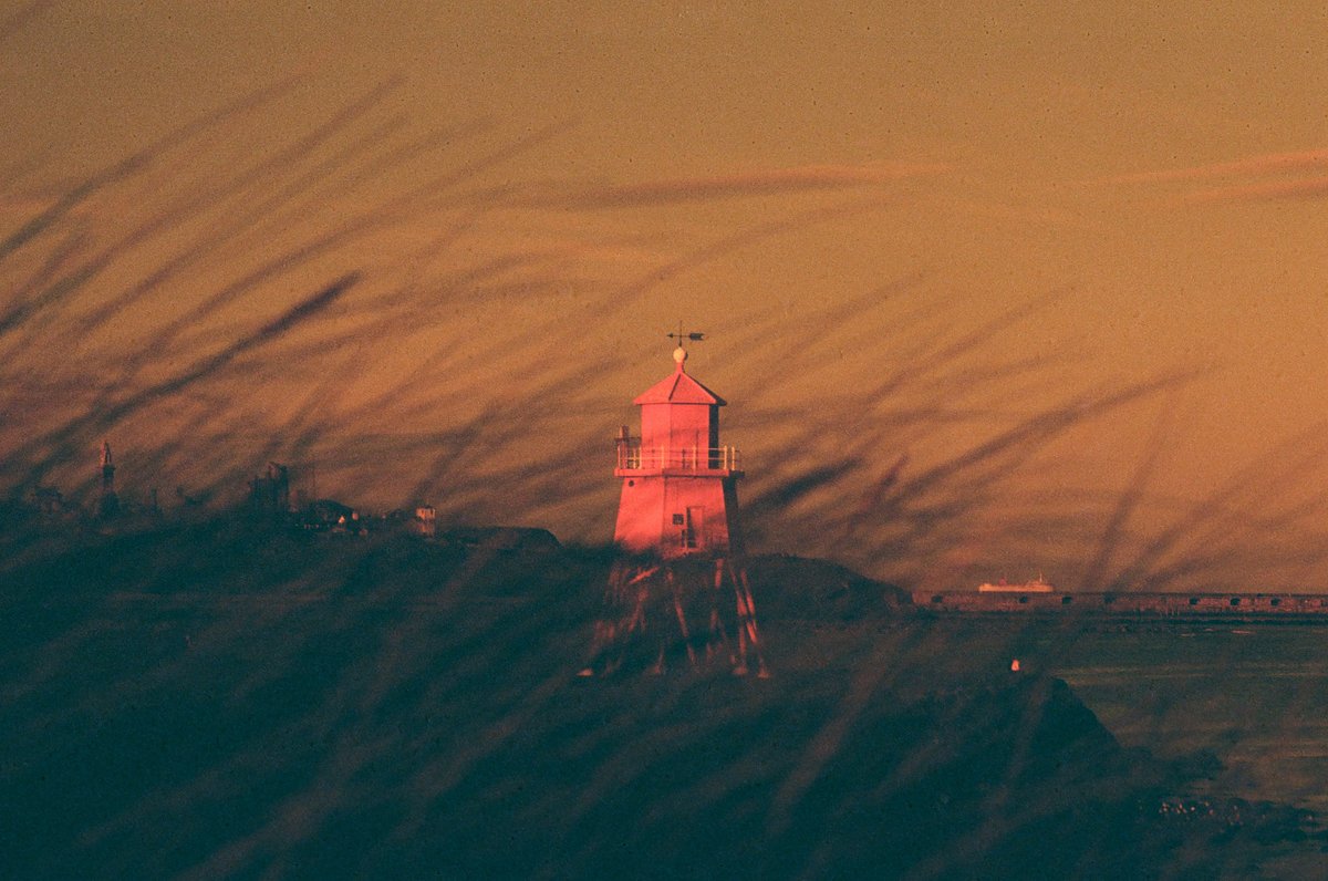lomographyuk's tweet photo. If a quiet walk in the country with a film camera sounds like your idea of a great day out then you need to read about Hannah Joseph. She shared her #RedscaleXR &amp; #LomoChromePurple shots which she took on a recent walk around the North East of England. https://t.co/F6gV3iMmuA https://t.co/utPlyYY1tL