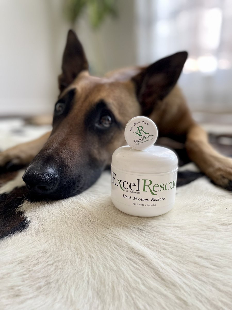 Thinking of the new mini rescue this morning 💭💭💭