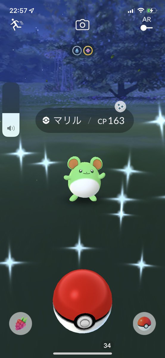 ポケモンgo マリルの色違い 入手方法と実装状況 攻略大百科 ポケモンgo マリルの色違い 入手方法と実装状況 攻略大百科