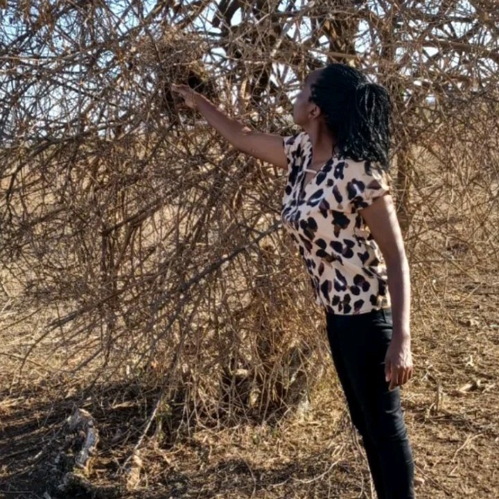 Wangui Daniel tweet media