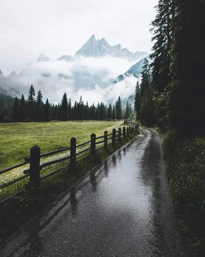 M O O N W A L K tweet media