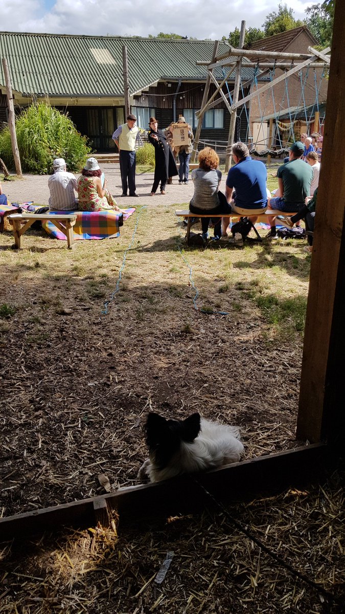 SunMoonTheatre's tweet photo. Our biggest fan! She's been to most of our shows #MuchAdoAboutNothing #ShakespeareDogs https://t.co/27v6z0UQsS