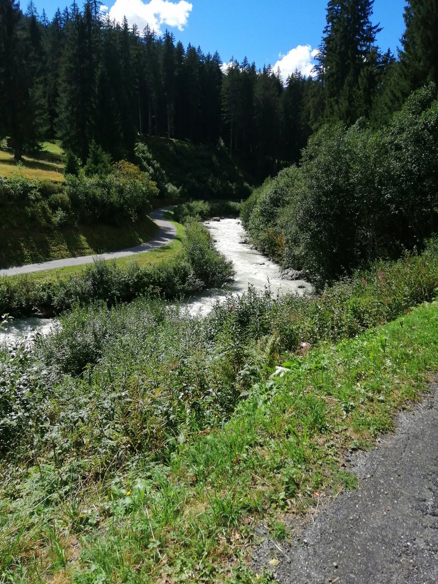 Day 8 continued - a postal bus ride, hike and picnic at Monbeil #SwissSummer #WorlocksWanderings
