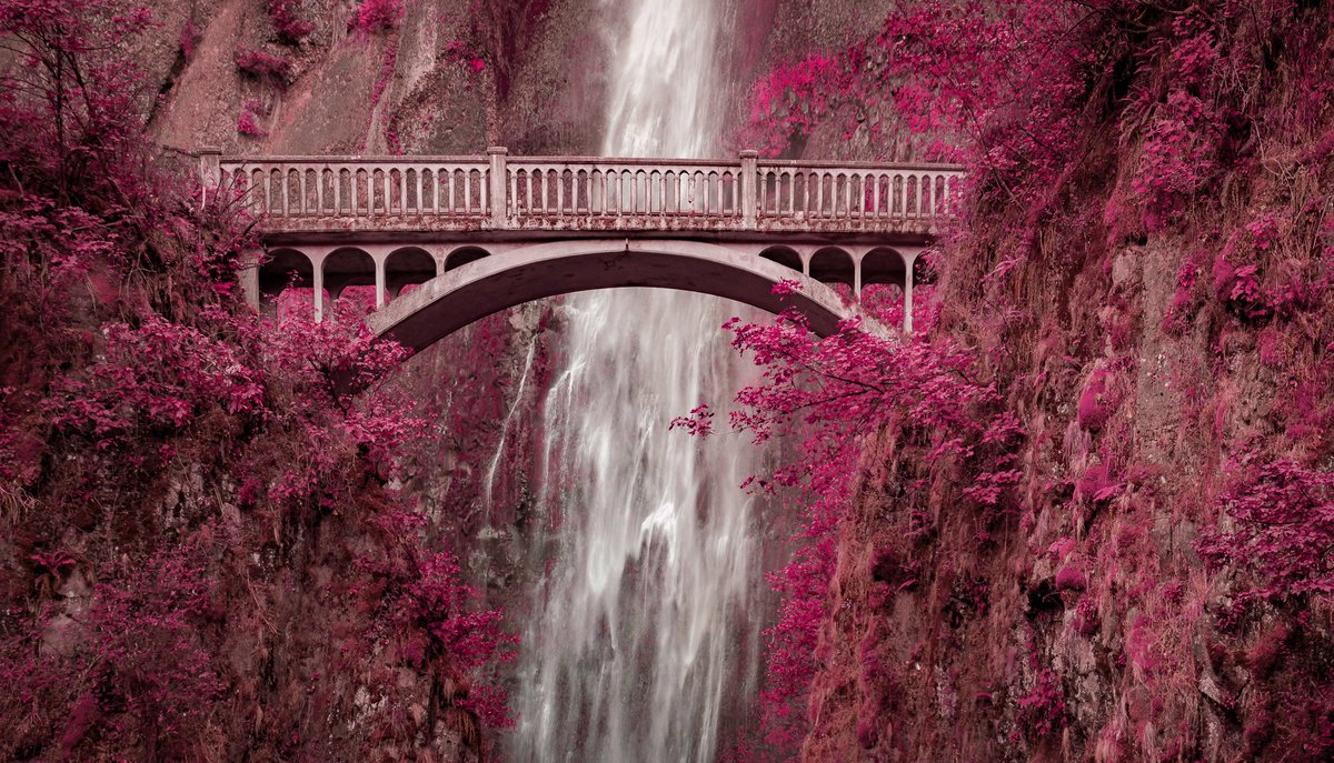 Robbinsdar's tweet photo. #MultnomahFalls #Oregon https://t.co/zzpHfndZa4