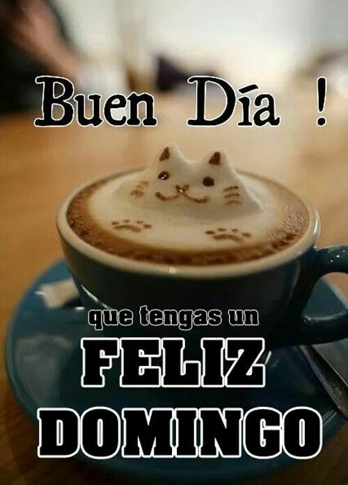 Emre Soliman tweet media