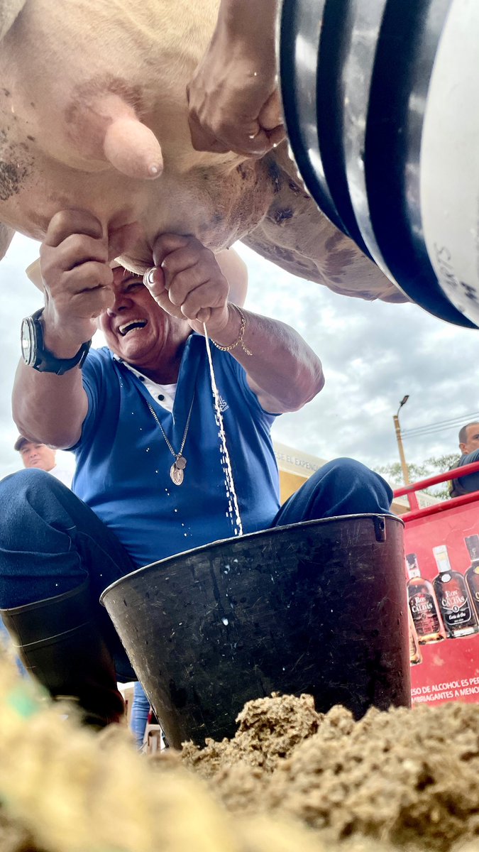 Desde muy pequeño aprendí a #Ordeñar, viendo a mi padre. ¡Estas son mis raíces y lo llevo en la sangre! en las ferias de mi tierra, #ExpoChaira2022 #CaquetáSomosTodos <a href="/MinAgricultura/">Min. de Agricultura</a> @cofema1 <a href="/GobCaqueta/">Gobernación de Caquetá</a>