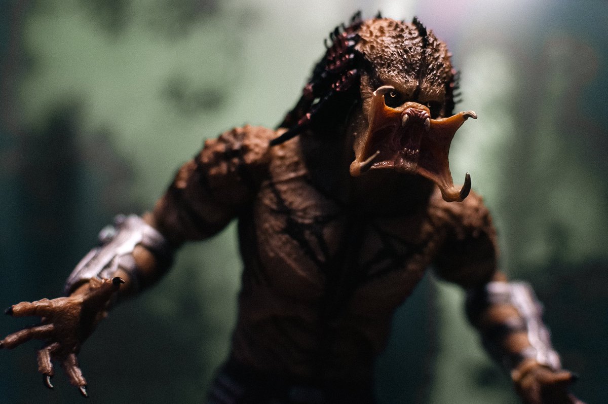 _ghostmayer's tweet photo. Assassin
•
•
•
#predator #assassinpredator #upgradepredator #thepredator #avp #yautja #neca #necatoys #toyphotography #actionfigurephotography https://t.co/ZWpkKJKgxc