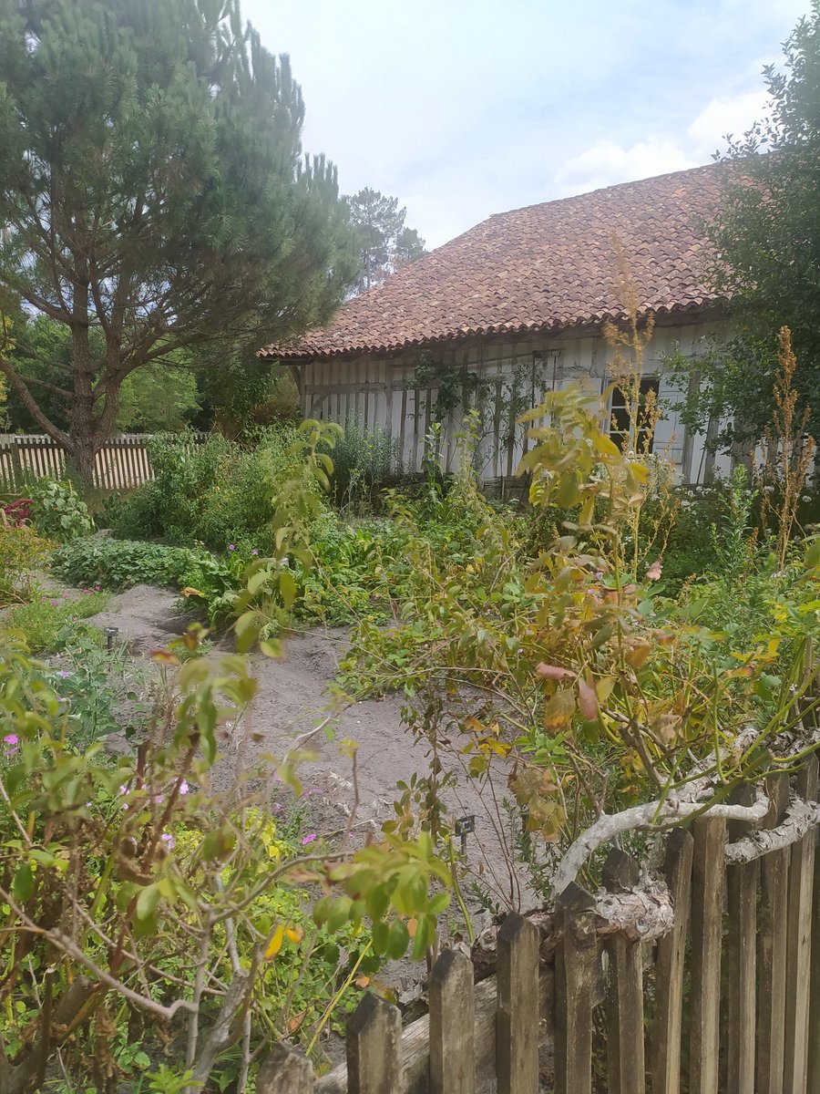 BK_abroad's tweet photo. Écomusée #Marqueze #Landes https://t.co/VPMd4hPMAH