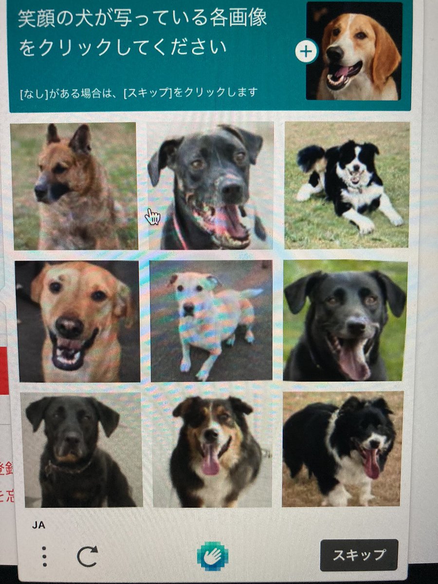 あなたはわかる 画像認証 笑顔の犬が写っている各画像をクリックしてください Togetter