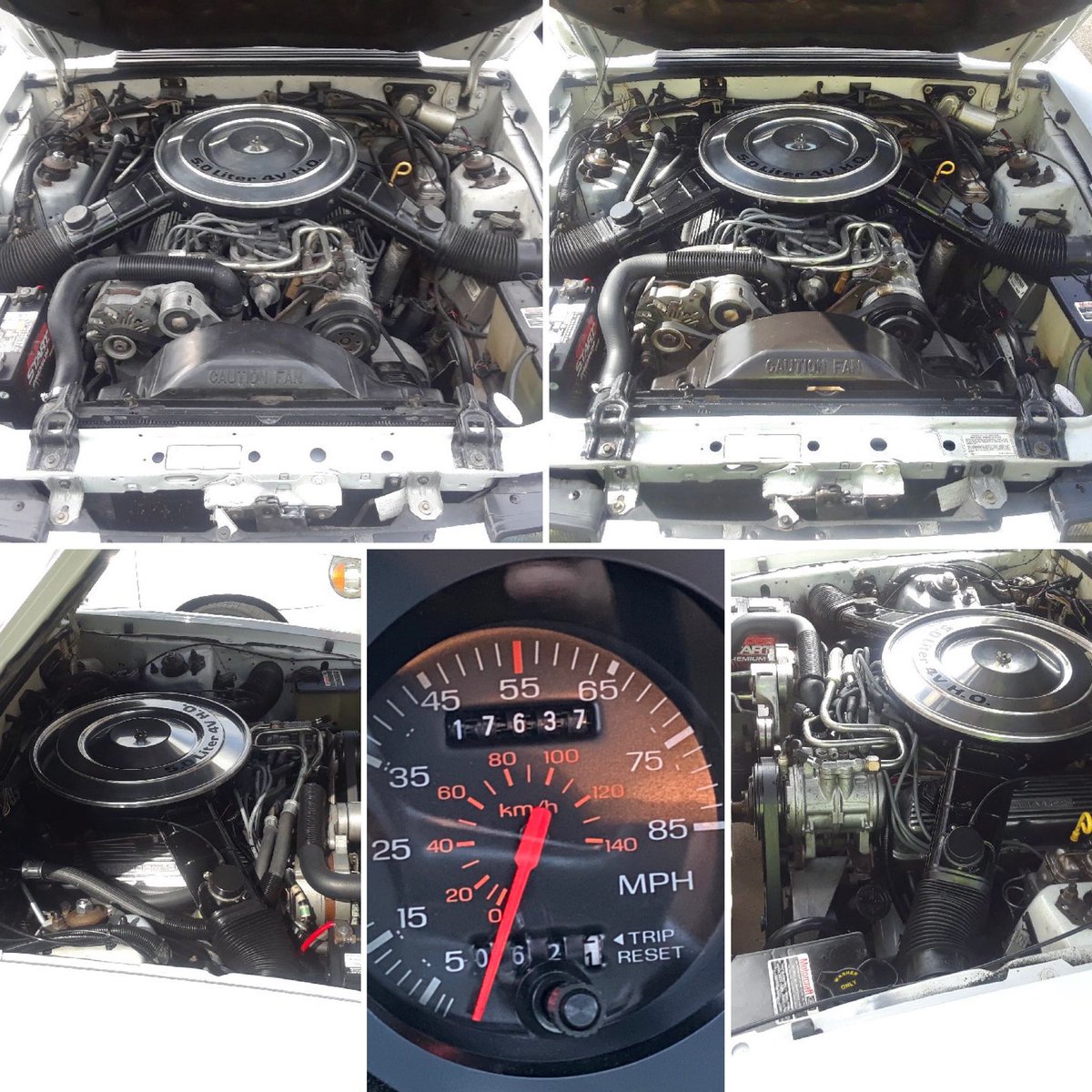 jphirsch's tweet photo. First engine bay detail in 37 years and 17,637 original miles. A split heater hose sprayed coolant everywhere. Came out looking great .::. #mustang #mustanggt #enginedetailing #foxbody #classiccars #getoutanddrive #noboringcars #neverstopdriving #funwithcars @RadwoodOfficial https://t.co/FMdUJwIr69