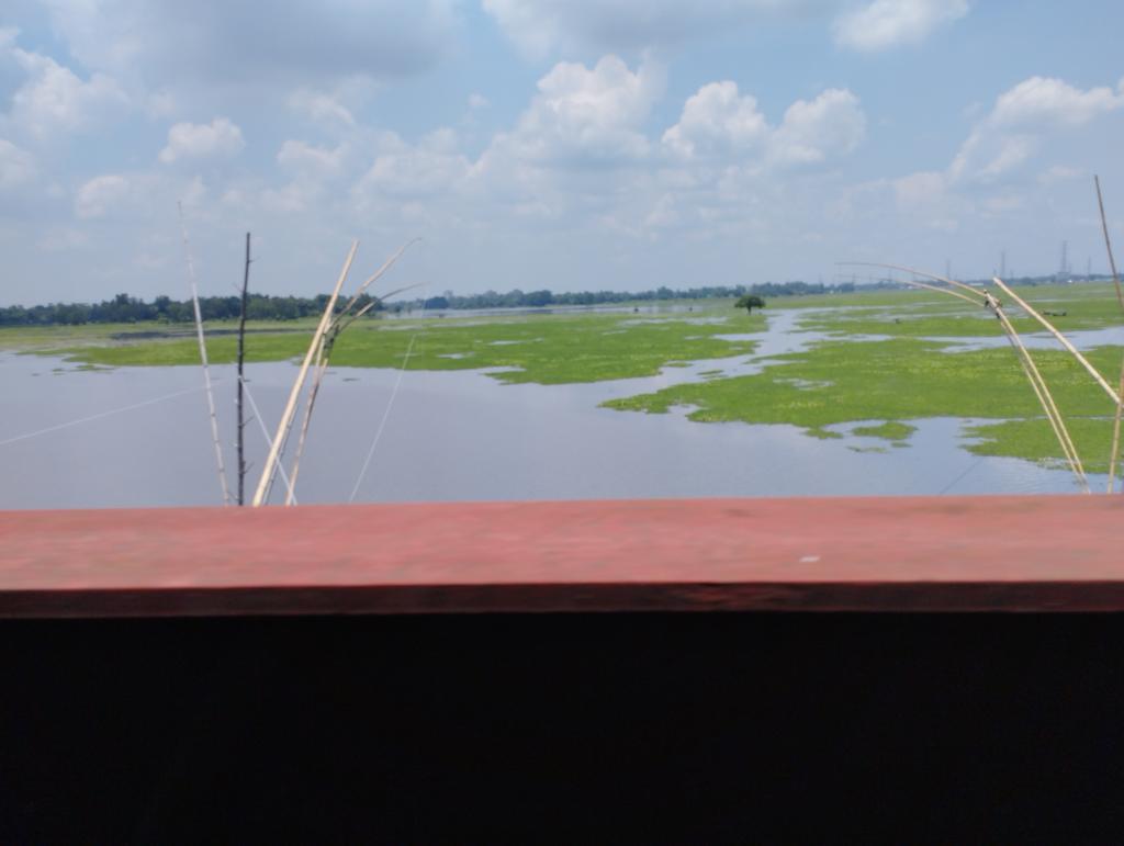 yusufimam313's tweet photo. Swamps under the sky.
Beauty of Bangladesh.
#nature
#NatureBeauty
#NaturePhotography
#naturelovers
#naturebd
#bangladeshNature https://t.co/fZkgQf25Nz