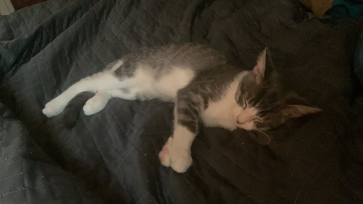 Kitkhet's tweet image. Not the Wyoming view I’ve had but it’s pretty good. @ringlakeranch @dianabutlerbass @ecampbellreed