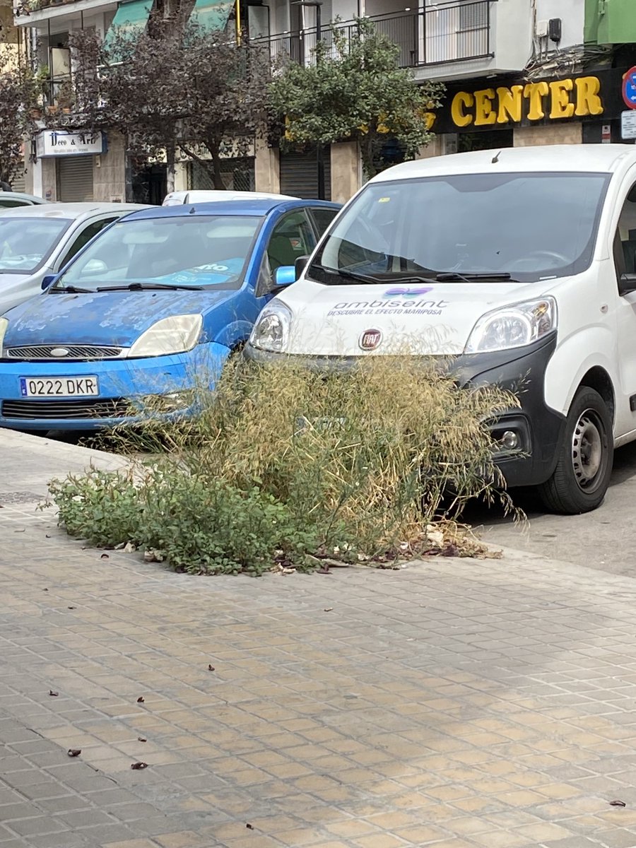 Esto está pasando en Patraix. Se vienen ratitas y cucarachitas….  ⁦<a href="/AjuntamentVLC/">Ajuntament València</a>⁩ 
Por favor!