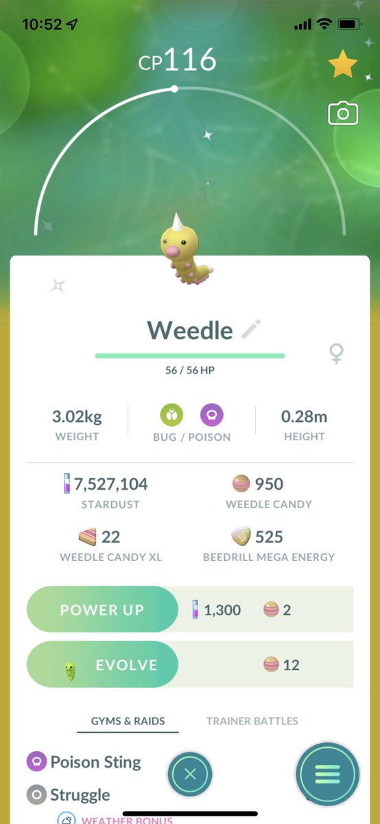 ItsOVOErica's tweet photo. Caught a cute little shiny weedle ✨ #PokemonGO https://t.co/PwF3COpejX