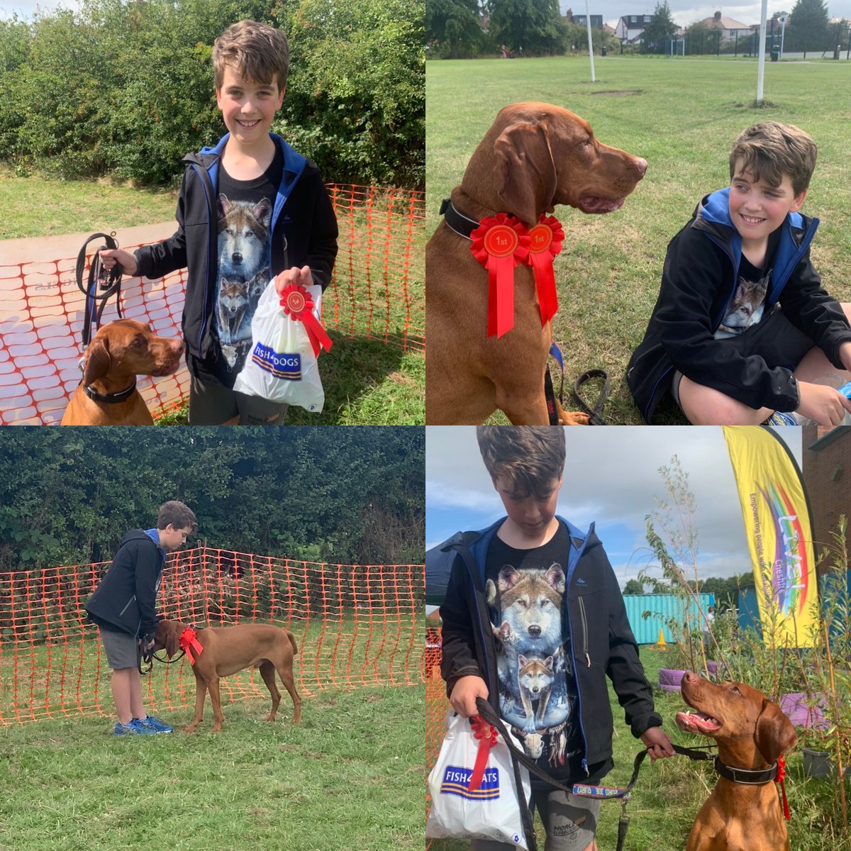Team Sharpy (@kathsharp1) on Twitter photo A lovely and successful afternoon <a href="/Live_Cheshire/">Live! Cheshire</a> in the Ark Angels Animal Rescue dog show. Most Handsome Male, Best Junior Handler and Reserve Best in Show #aboyandhisdog A lovely and successful afternoon <a href="/Live_Cheshire/">Live! Cheshire</a> in the Ark Angels Animal Rescue dog show. Most Handsome Male, Best Junior Handler and Reserve Best in Show #aboyandhisdog