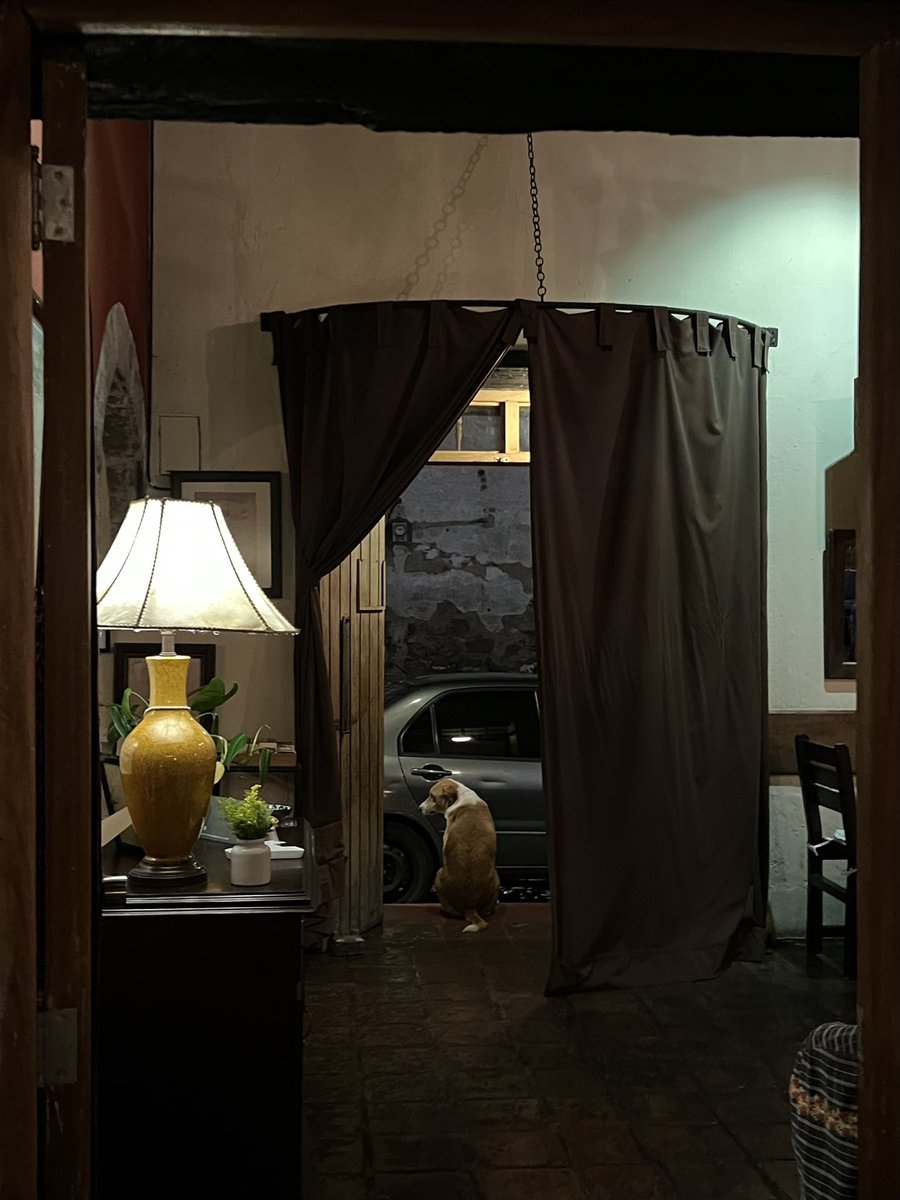 Risis's tweet photo. Anoche, saliendo de @comocomoguate, una escena à la Edward Hopper 🤩

#nofilter #Guatemala #edwardhopper https://t.co/0R5mtfb0Hd