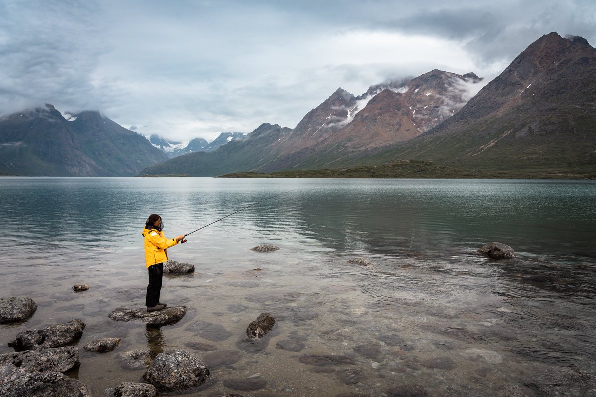 Quark Expeditions tweet media