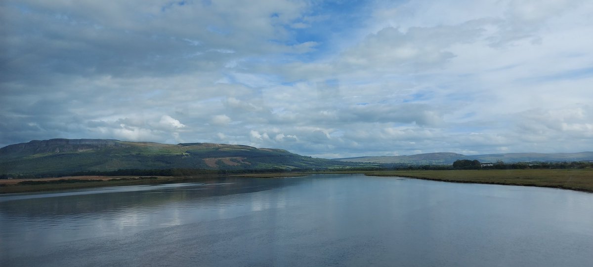 Grove Bound 🚍 🚄 🚍 ✈️