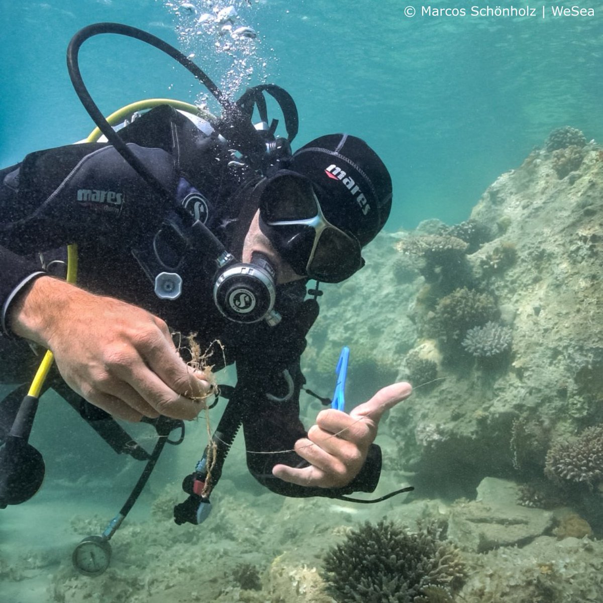 Stony #corals have #fragile skeletons and soft tissues and like many other #MarineAnimals can easily be injured when in contact with lost #FishingGear

The WeSea #diving team is always ready to remove these harmful fishing lines from the #MarineEnvironment 🤿🪸

#WeSea #GhostNets