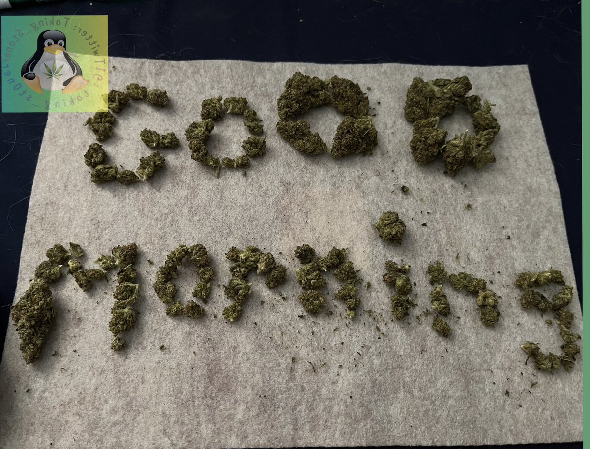 Toking_Stoner's tweet photo. Happy Sunday stoners! #meber #StonerFam #weedcommunity #weedlife #weedfam https://t.co/ZcKj5VkxoP