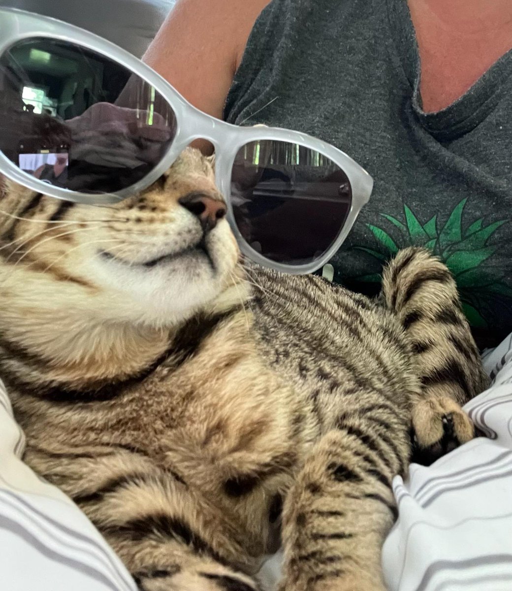 TheTweetzter's tweet photo. Introducing LOKI https://t.co/o6Cp0EQtOY