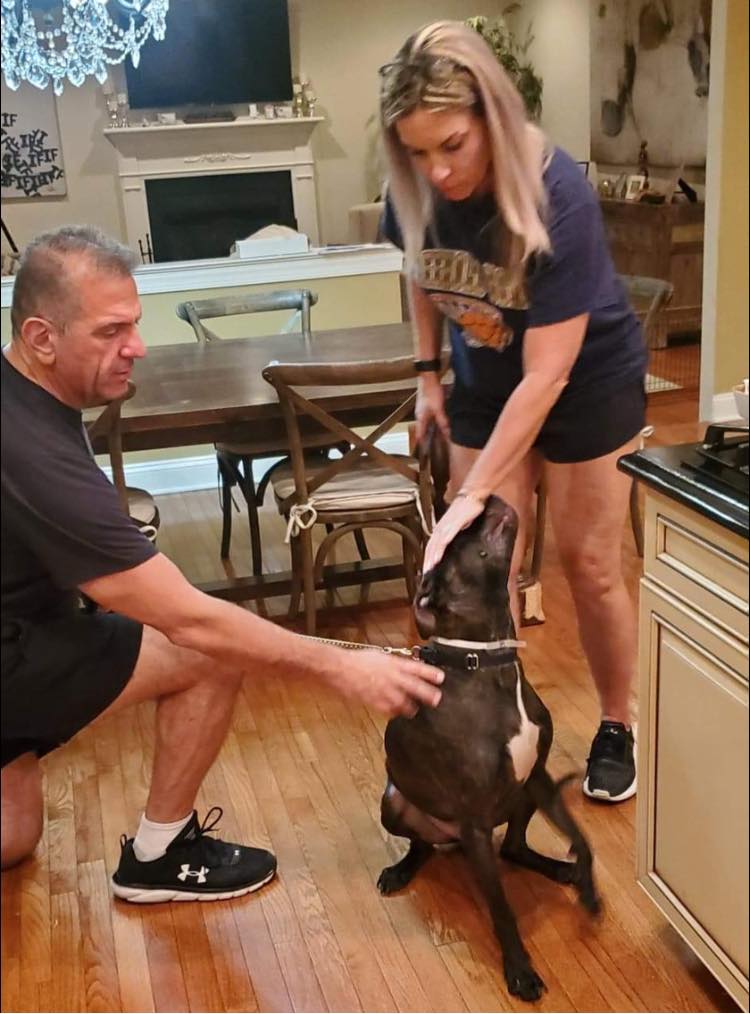 🎉Oobie 
#NYCACC #147309
was RESCUED!
🎉Bless @Amsterdog 🎉 Rescue + yr Foster❤️

Tysvm 2 all the pledgers + networkers! 
We couldn't have done it without all of u!❤

Tyvm 4 #Sharing #Pledging + #Caring !💕

Donations Welcome
Amsterdog.org

Tysvm❤️