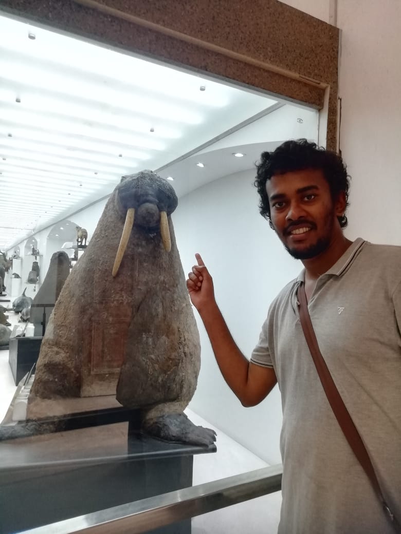 alanthomass06's tweet photo. Finally I met a walrus. at Indian museum, Kolkata...... https://t.co/WL27xRH9fM