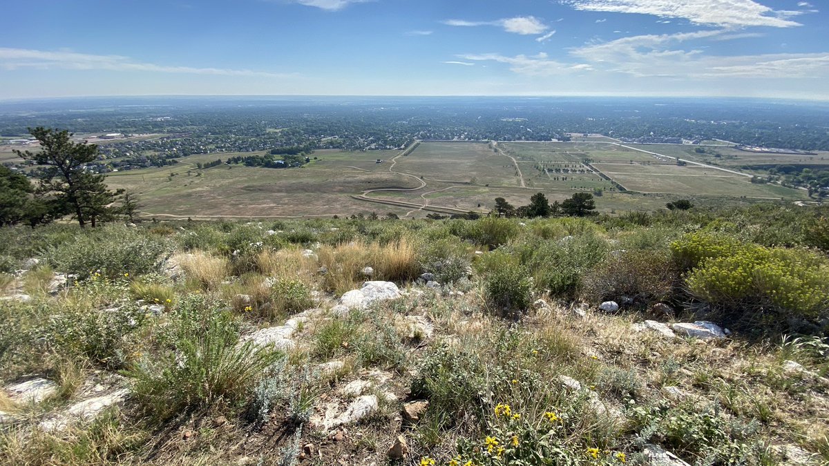 Joe Scalia tweet media