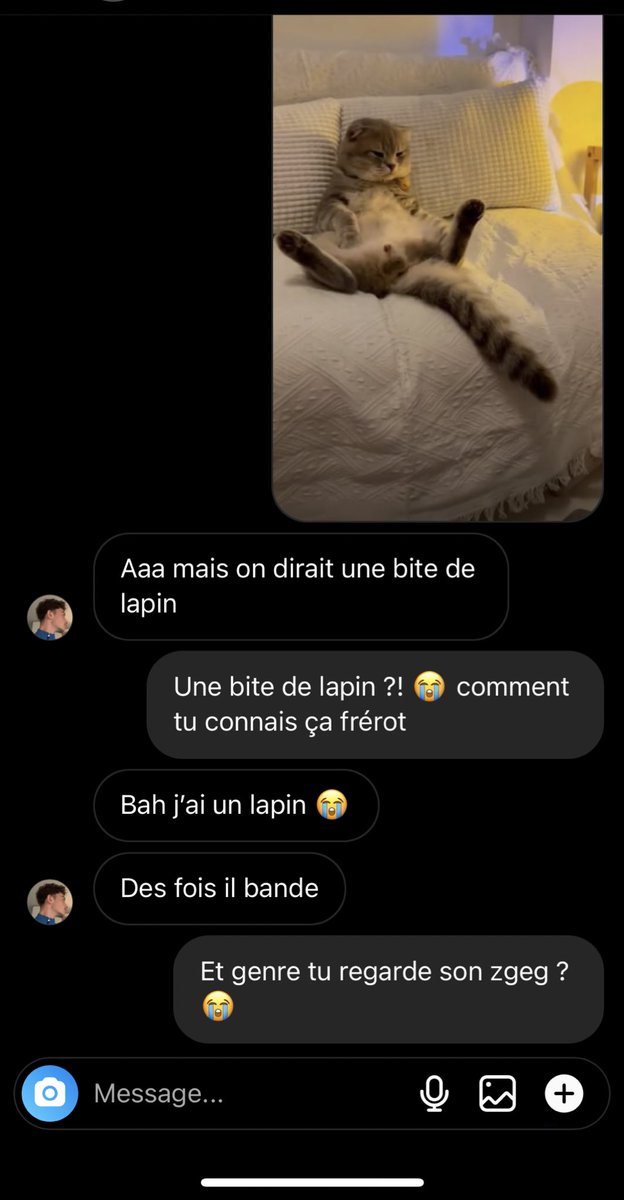 brook_lcm's tweet image. C’est bon je vais pete mon crâne