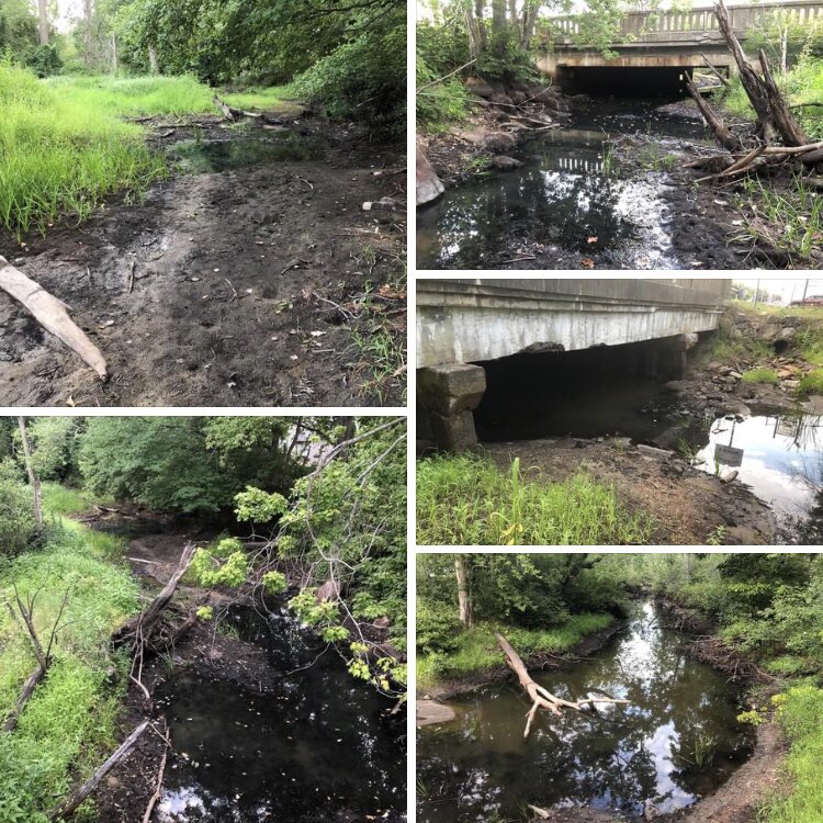 nishmanweather's tweet photo. Upstream of there, this is the upper Ipswich “River” at route 28 in North Reading! #OverAllocated #Abused #Endangered #SevereDrought #ConserveWater #SaveIpswichRiver https://t.co/Lnm0u5pANy