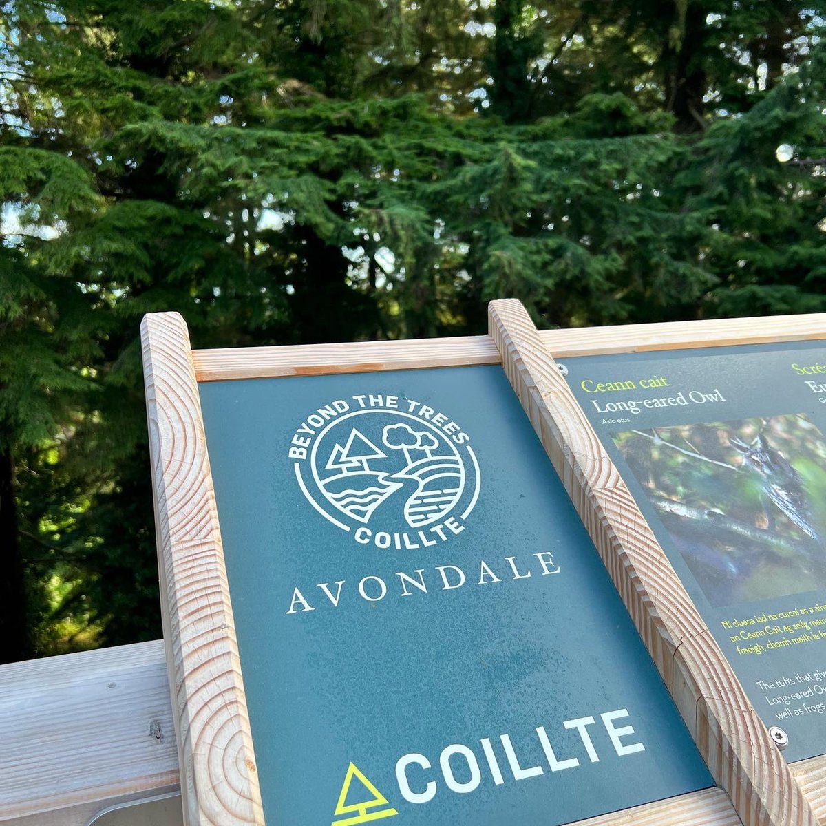 lawlormcclean's tweet photo. Great morning @AvondaleBeyond https://t.co/VbsX8eMpdY