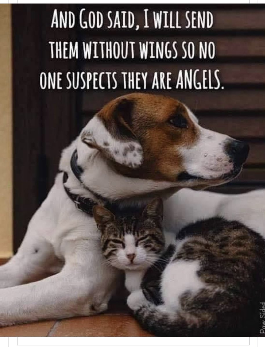 AnimeAddictMom's tweet photo. @willsdarklady You are very blessed!! https://t.co/koDaTqJsiL