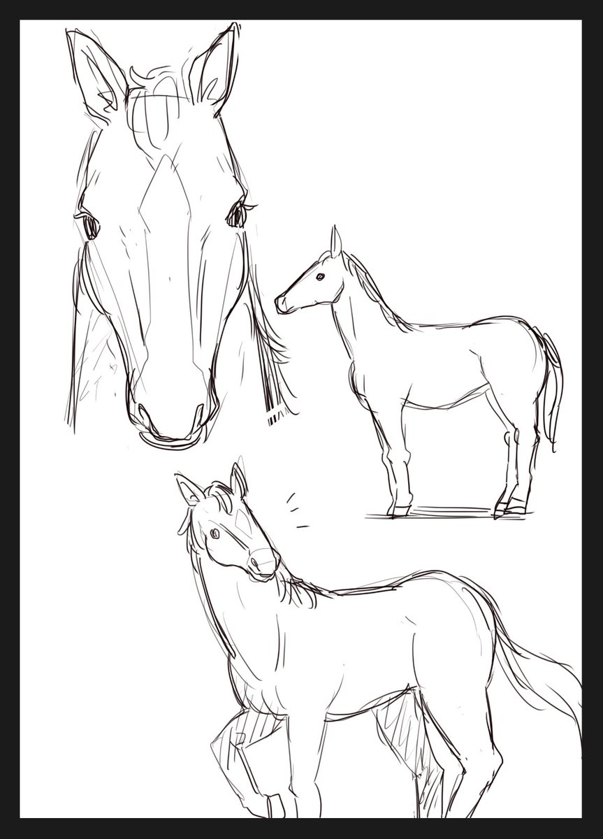 急に何も見ずに馬が描けるかチャレンジしてみたんですけど思ったよりイケそうな感じがしました。毎週見てますからね! 
