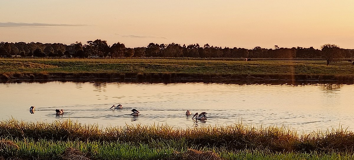 evaleucien's tweet image. There were these too #breadrun