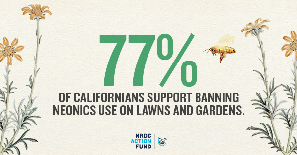 It's no surprise that our recent polling results found 77% of Californians across age, partisanship, and geography support banning lawn and garden uses of neonics. Californians can #savethebees by sending a message to their state senators today. #caleg on.nrdc.org/3JTh9X3