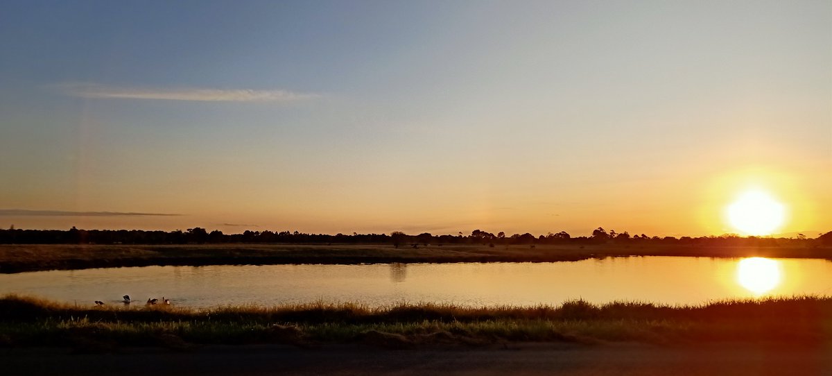 evaleucien's tweet image. I did this earlier. #breadrun