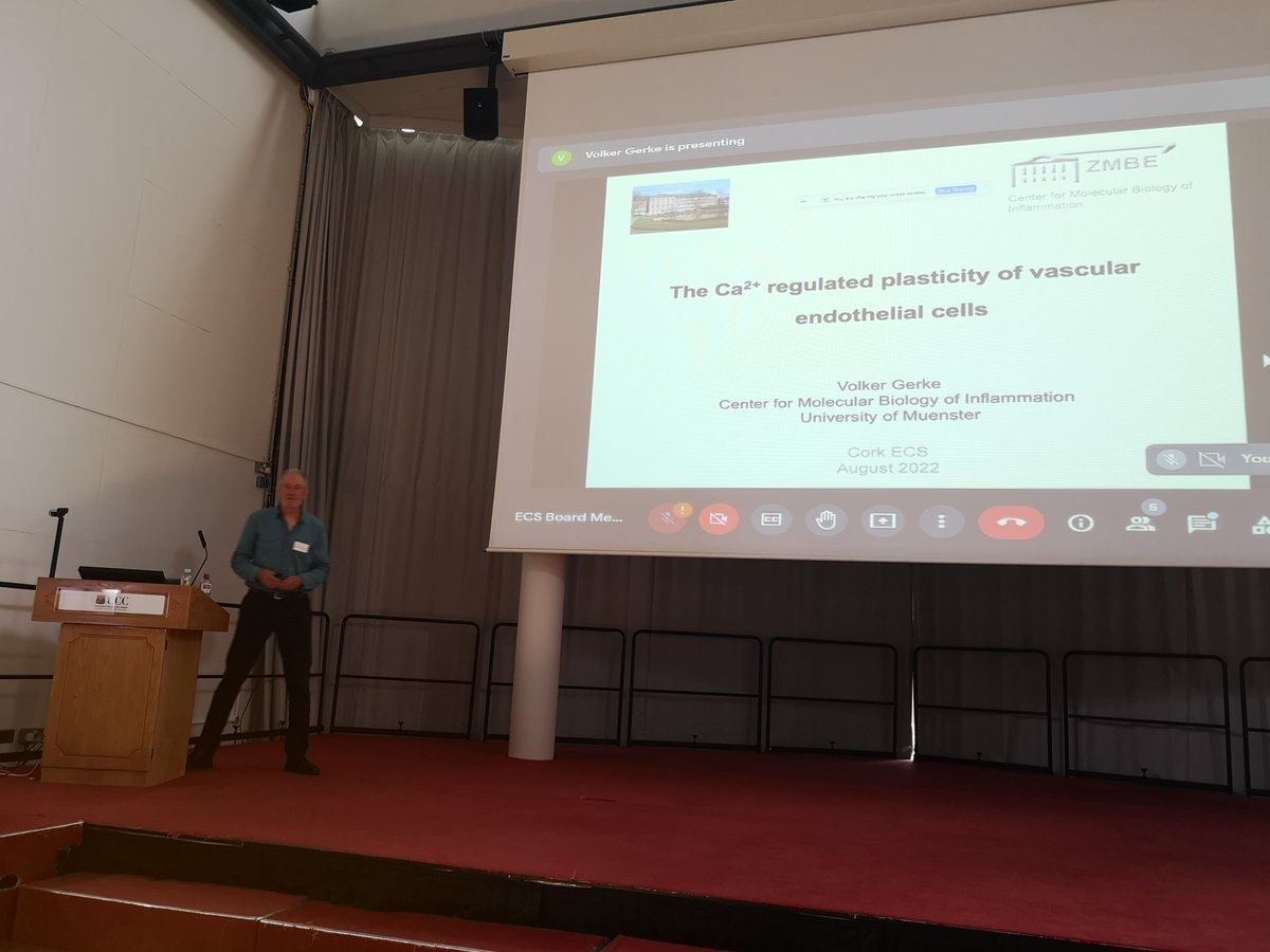 BarbaraDoylePre's tweet image. Dr John Mackrill @UCC  opens #ECS2022 @EuroCalcium @MackrillJohn @LMCSLeuven welcoming &amp;gt;130 international delegates to sunny Cork @Conference_Cork Looking forward to sessions including talk from @InduArun21 who will present our @scienceirel funded research @jfcryan