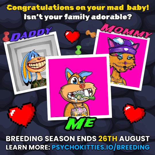 CaptianNickC's tweet photo. My @MadHareSociety and PsychoMolly did it like they do on the Discovery Channel and got freaky in my wallet 😏 Now I have a MAD BABY 😺 #MadHareBaby https://t.co/qSlAihuGSE