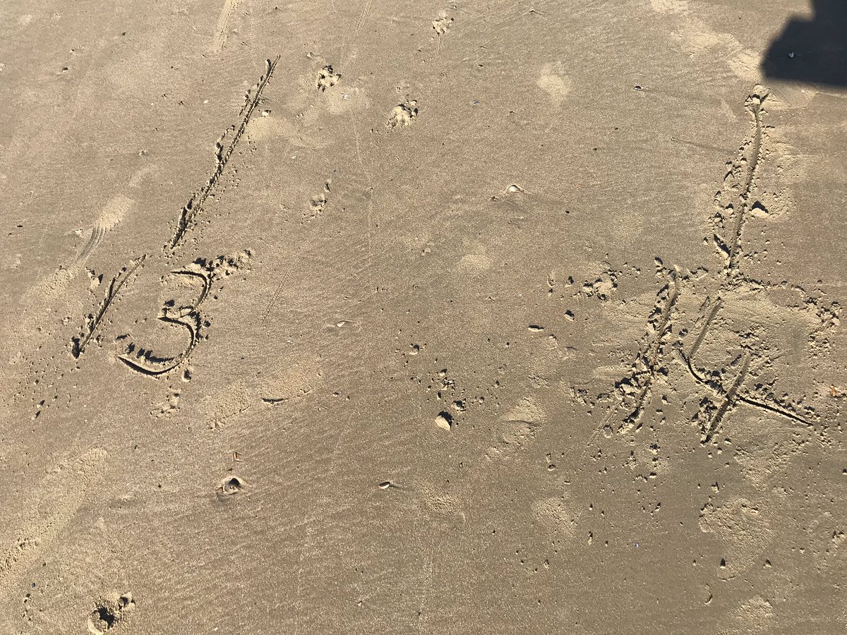 RebeccaTurvill's tweet photo. Drawing a numberline in the sand to measure how near the tide is to meet our sand castle. Then timing its destruction! #holidaymaths https://t.co/dKS21PvkGY