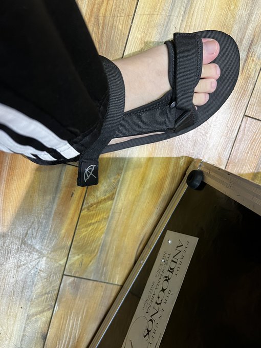アーノルド パーマー の評価や評判 感想など みんなの反応を1週間ごとにまとめて紹介 ついラン