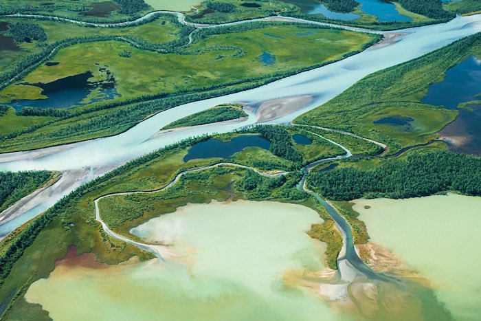 OutdoorsMH's tweet photo. Delta details ⠀⠀⠀⠀

July 2022 #sweden #ultralight #glacier #stfturist #skierfe #skierffe #sájvva #rapadalen #sarek #laitaure #delta #riverdelta #sareknationalpark #lájtávrre https://t.co/5qIYLwOBhI