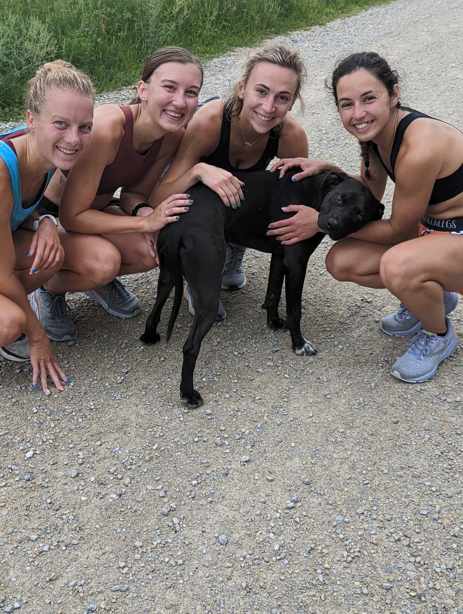 Wartburg XC/TF tweet media