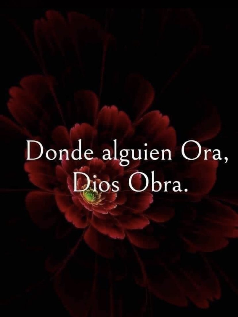 ElArthur's tweet image. 